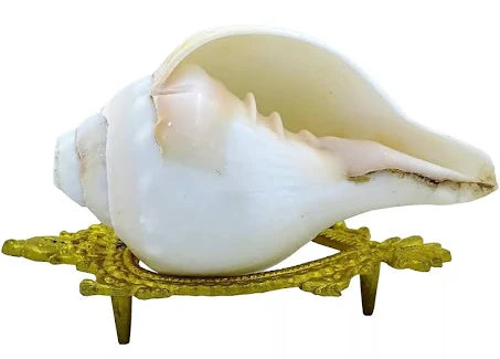 shankh and conch shell