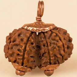 Ganesh rudraksha