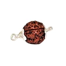 HaridwarDivine 3 Mukhi Indian Rudraksha with Silver Pendant Natural Brown Lab Certified  for Men and women