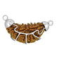 HaridwarDivine 1 Mukhi Rudraksha/One Faced Rudraksha Pendant Original Rudraksha Locket (Brown)