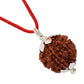 HaridwarDivine 4 Mukhi Nepali Rudraksha Sterling Silver Certified Pendant for Men and Women