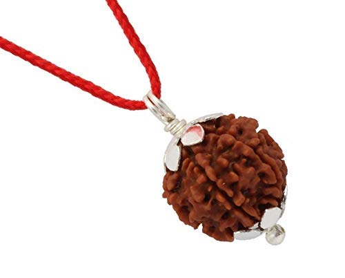 HaridwarDivine 4 Mukhi Nepali Rudraksha Sterling Silver Certified Pendant for Men and Women