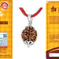 HaridwarDivine 3 Mukhi Rudraksha Pendant/Three Face Rudraksha Pendant Card - Silver Metal Cap (Lab Certified)