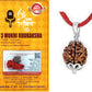 HaridwarDivine 3 Mukhi Rudraksha Pendant/Three Face Rudraksha Pendant Card - Silver Metal Cap (Lab Certified)