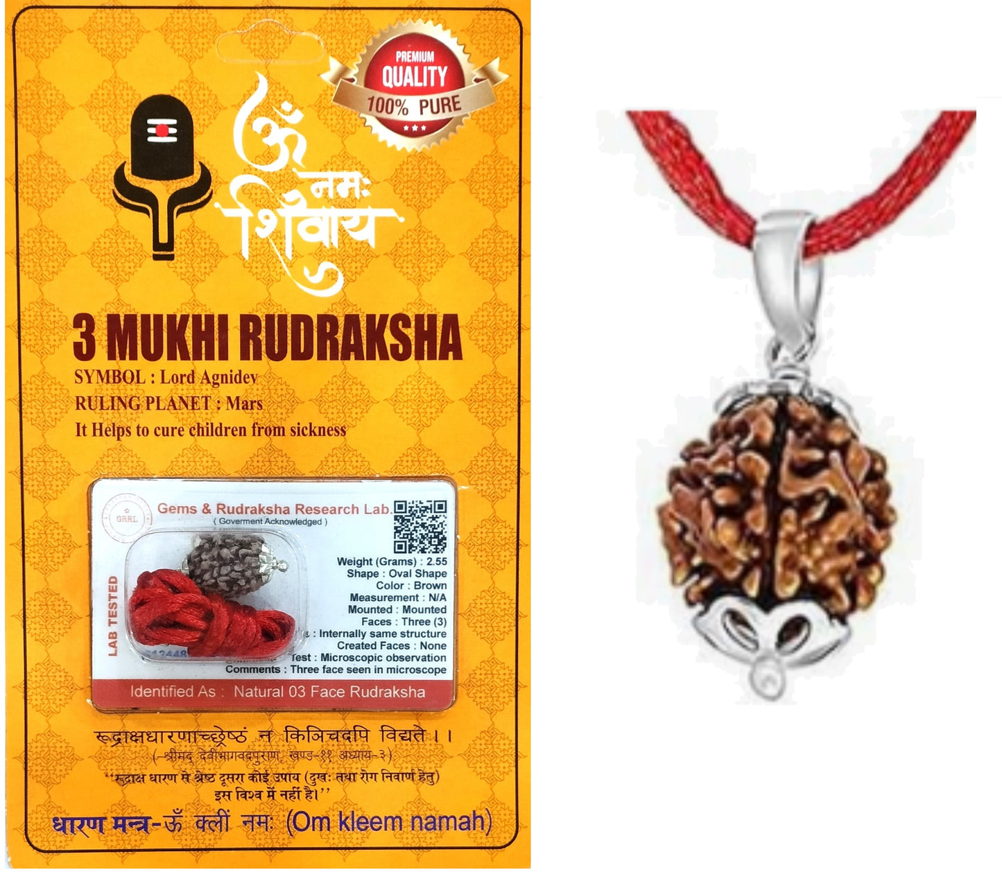 HaridwarDivine 3 Mukhi Rudraksha Pendant/Three Face Rudraksha Pendant Card - Silver Metal Cap (Lab Certified)