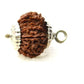 HaridwarDivine 12 Mukhi  Rudraksha Brown Certificate Lab Test & X-ray Report with Silver Capping| Rudraksha Pendant for