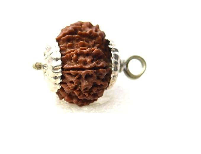 HaridwarDivine 12 Mukhi  Rudraksha Brown Certificate Lab Test & X-ray Report with Silver Capping| Rudraksha Pendant for