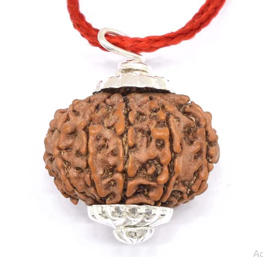 HaridwarDivine  11 Mukhi Rudraksha Pendant  in Red Thread | Gayarah/Eleven Face Lab Certified - Original Rudraks for Men & Women