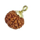 Haridwar Divine Brown Colour Seven Mukhi Rudraksha Certified/Original Nepali 7 Mukhi Rudraksh/Natural 7 Faced Rudraksha with Silver Pendent