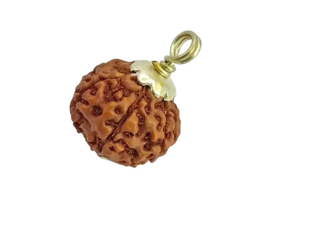 Haridwar Divine Brown Colour Seven Mukhi Rudraksha Certified/Original Nepali 7 Mukhi Rudraksh/Natural 7 Faced Rudraksha with Silver Pendent