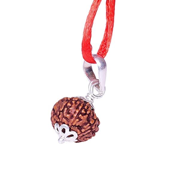 HaridwarDivine 9 Mukhi Rudraksha Pendant, Lab Certified - Nine Mukhi Original Rudraksha Pendant for Men & Women, Original,Charged with Energy, Color Brown