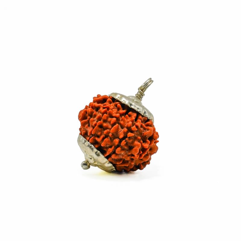 HaridwarDivine  11 Mukhi Rudraksha Pendant  in Red Thread | Gayarah/Eleven Face Lab Certified - Original Rudraks for Men & Women