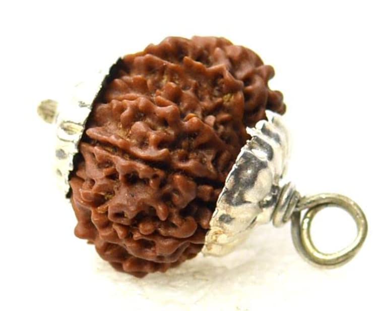 HaridwarDivine 12 Mukhi  Rudraksha Brown Certificate Lab Test & X-ray Report with Silver Capping| Rudraksha Pendant for