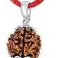 HaridwarDivine 3 Mukhi Indian Rudraksha with Silver Pendant Natural Brown Lab Certified  for Men and women