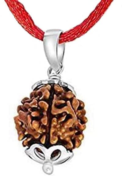 HaridwarDivine 3 Mukhi Indian Rudraksha with Silver Pendant Natural Brown Lab Certified  for Men and women