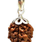 HaridwarDivine 3 Mukhi Indian Rudraksha with Silver Pendant Natural Brown Lab Certified  for Men and women