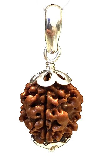 HaridwarDivine 3 Mukhi Indian Rudraksha with Silver Pendant Natural Brown Lab Certified  for Men and women