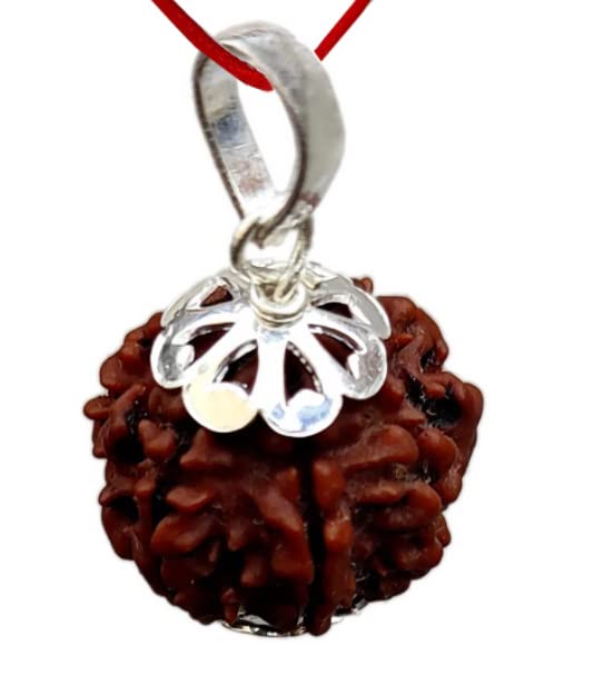 HaridwarDivine  5 Mukhi Rudraksha 5 Mukhi Rudraksha Original Certified Nepali Pendant 5 Face 16mm 5 मुखी पांच रुद्राक्ष मुखी नेपाली रुद्राक्ष Five Mukhi