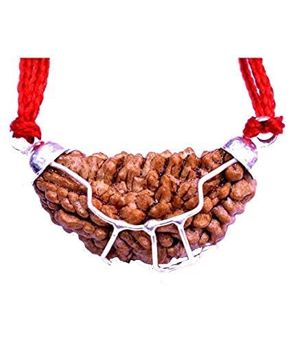 HaridwarDivine  1 Mukhi Rudraksha/Original Ek Mukhi Rudraksha with Lab Certificate/Certified One Face Rudraksha for Spiritual Wear, Gifting