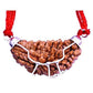 HaridwarDivine 1 Mukhi Rudraksha/One Faced Rudraksha Pendant Original Rudraksha Locket (Brown)