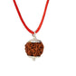 HaridwarDivine 6 Mukhi Rudraksha Pendant Six Faced Nepali Rudraksh Bead Pendant Original & Certified Pendant