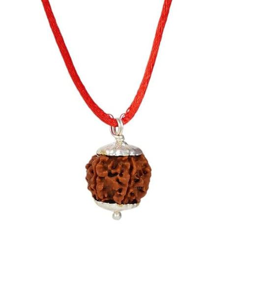 HaridwarDivine 6 Mukhi Rudraksha Pendant Six Faced Nepali Rudraksh Bead Pendant Original & Certified Pendant