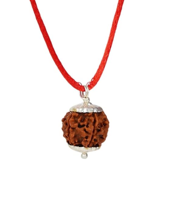 HaridwarDivine 6 Mukhi Rudraksha Pendant Six Faced Nepali Rudraksh Bead Pendant Original & Certified Pendant for men and women