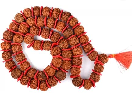 Handcrafted Velvet 5 Mukhi 54 +1 Beads Rudraksha Mala 20 Inch Long for Mantra Jaap, Prayers, Temple