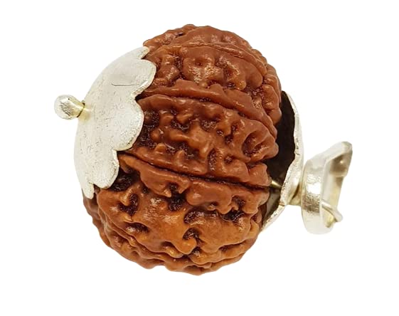 HaridwarDivine 8 Mukhi Rudraksha Nepal Original Certified Unisex Silver Pendant - Brown