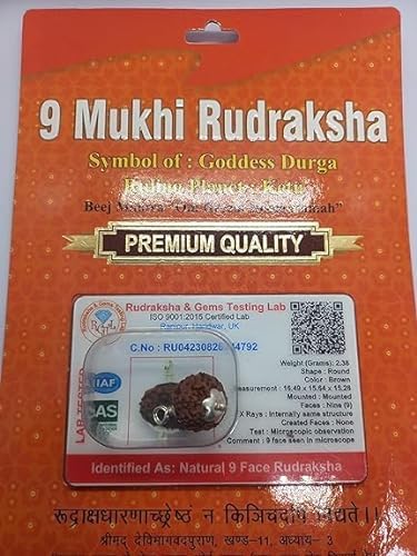 HaridwarDivine  Mukhi Rudraksha Nepali/Nine Faced Rudraksha Pendant Original Certified