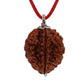 HaridwarDivine 2 Mukhi/Faced Indian Rudraksha with Silver Pandant | Natural & Certified | Astrological Two Mukhi | Positive Effect | Unisex Both for Men & Women