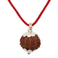 HaridwarDivine 10 Mukhi Rudraksha Nepali/Ten Faced Rudraksha Pendant Original Certified Big Size