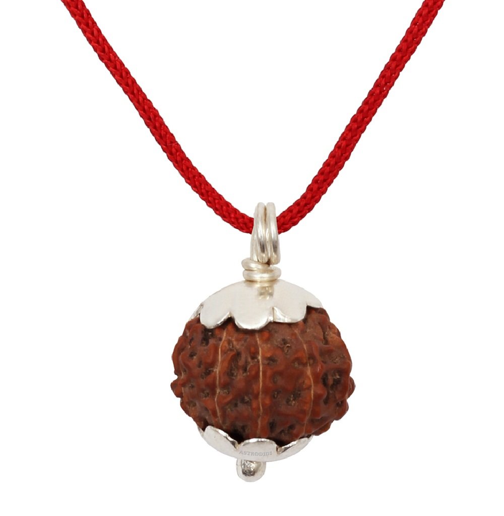 HaridwarDivine 10 Mukhi Rudraksha Nepali/Ten Faced Rudraksha Pendant Original Certified Big Size