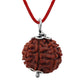 7 Mukhi Rudraksha Original Certified with Pendant 18mm 7 Mukhi Rudraksha Nepali 7 मुखी रुद्राक्ष ओरिजिनल 7 Face Rudraksha Original Certified Nepal Satmukhi