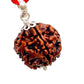 HaridwarDivine  5 Mukhi Rudraksha 5 Mukhi Rudraksha Original Certified Nepali Pendant 5 Face 16mm 5 मुखी पांच रुद्राक्ष मुखी नेपाली रुद्राक्ष Five Mukhi