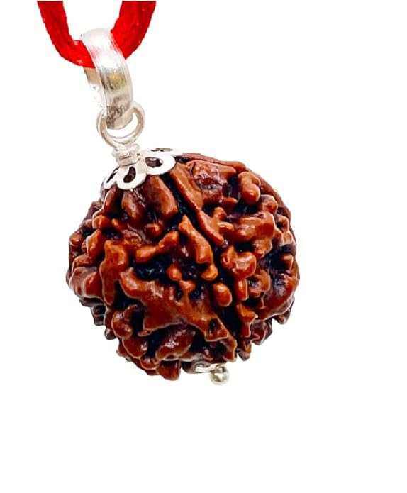 HaridwarDivine  5 Mukhi Rudraksha 5 Mukhi Rudraksha Original Certified Nepali Pendant 5 Face 16mm 5 मुखी पांच रुद्राक्ष मुखी नेपाली रुद्राक्ष Five Mukhi