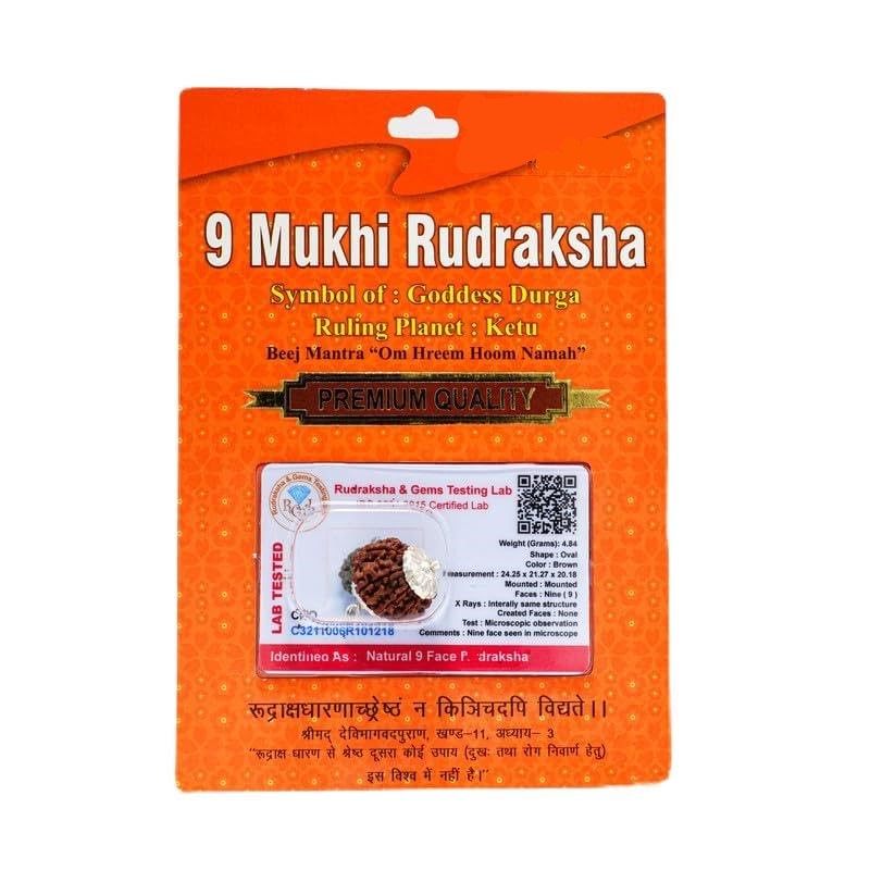 HaridwarDivine  Mukhi Rudraksha Nepali/Nine Faced Rudraksha Pendant Original Certified