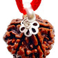 HaridwarDivine  5 Mukhi Rudraksha 5 Mukhi Rudraksha Original Certified Nepali Pendant 5 Face 16mm 5 मुखी पांच रुद्राक्ष मुखी नेपाली रुद्राक्ष Five Mukhi