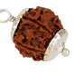 HaridwarDivine 6 Mukhi Rudraksha Pendant Six Faced Nepali Rudraksh Bead Pendant Original & Certified Pendant