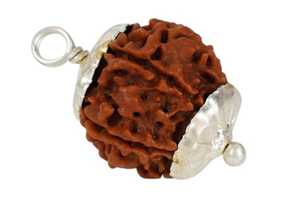 HaridwarDivine 6 Mukhi Rudraksha Pendant Six Faced Nepali Rudraksh Bead Pendant Original & Certified Pendant