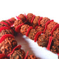 Handcrafted Velvet 5 Mukhi 54 +1 Beads Rudraksha Mala 20 Inch Long for Mantra Jaap, Prayers, Temple