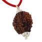 HaridwarDivine 3 Mukhi Rudraksha Pendant/Three Face Rudraksha Pendant Card - Silver Metal Cap (Lab Certified)