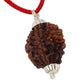 HaridwarDivine 2 Mukhi/Faced Indian Rudraksha with Silver Pandant | Natural & Certified | Astrological Two Mukhi/Faced Rudraksha