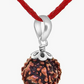 HaridwarDivine Certified 5 Mukhi Rudraksha/Five Faced Rudraksha Pendant Original Rudraksha Locket (Color : Brown)