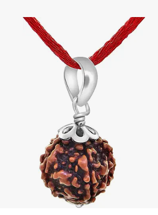 HaridwarDivine Certified 5 Mukhi Rudraksha/Five Faced Rudraksha Pendant Original Rudraksha Locket (Color : Brown)