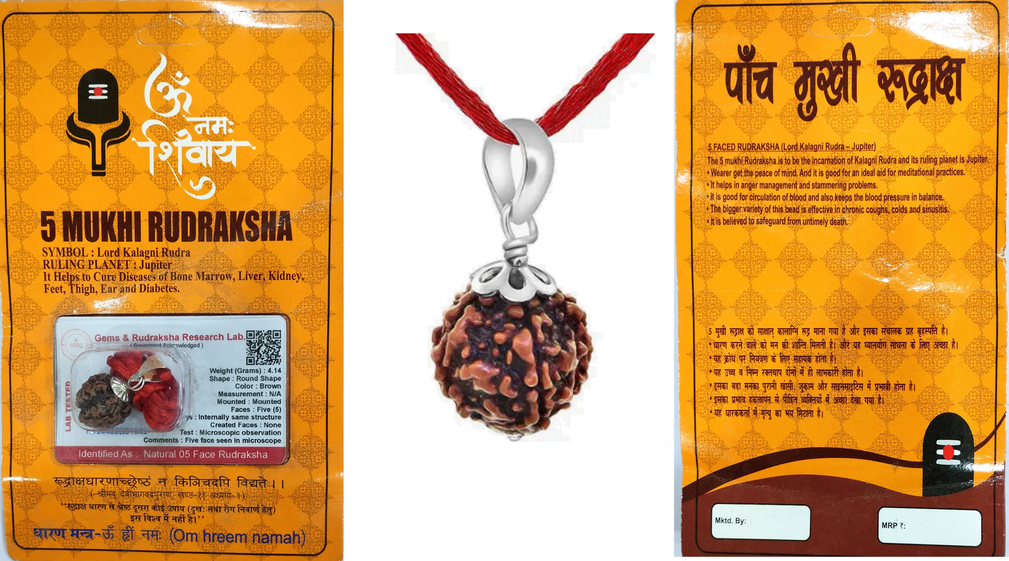 HaridwarDivine Certified 5 Mukhi Rudraksha/Five Faced Rudraksha Pendant Original Rudraksha Locket (Color : Brown)