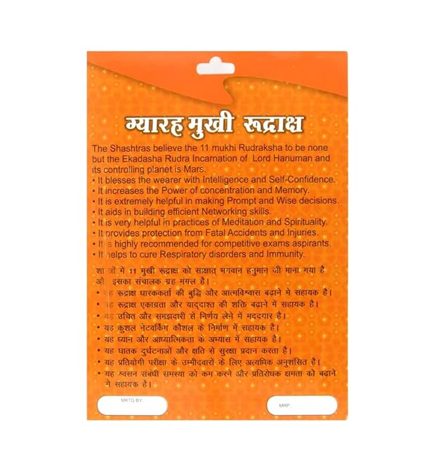 HaridwarDivine 11 Mukhi Rudraksha Nepali/Eleven Faced Rudraksha Pendant Original Certified