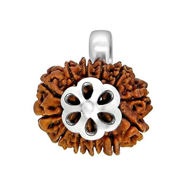 HaridwarDivine 12 Mukhi  Rudraksha Brown Certificate Lab Test & X-ray Report with Silver Capping| Rudraksha Pendant for