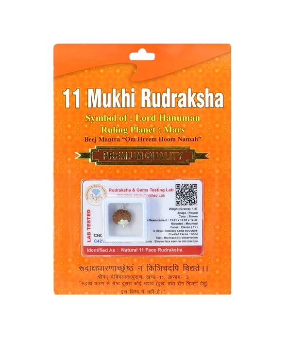 HaridwarDivine 11 Mukhi Rudraksha Nepali/Eleven Faced Rudraksha Pendant Original Certified