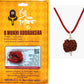 HaridwarDivine 8 Mukhi Rudraksha with Silver Pandent 8 Faces Rudraksha with Original Cerified with in Brown Colur